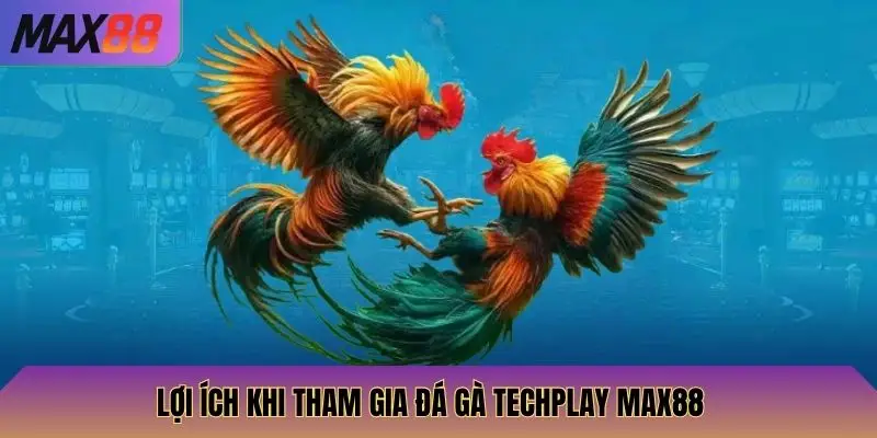 Đá Gà Techplay Max88: Đấu Gà Techplay, Cược Và Thắng Lớn 3 Lợi ích khi tham gia Đá Gà Techplay Max88