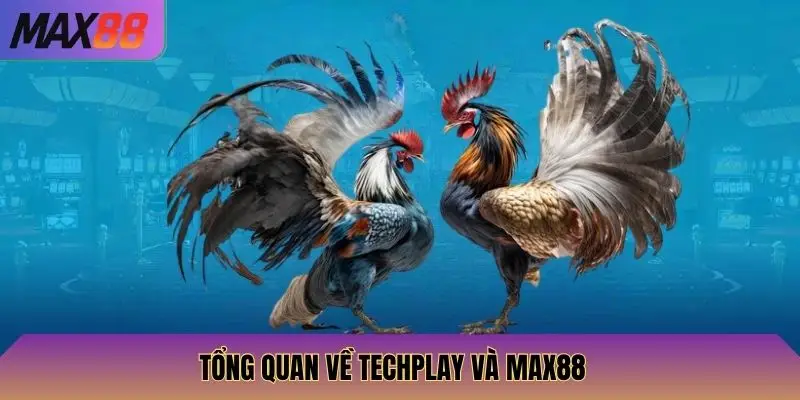 Đá Gà Techplay Max88: Đấu Gà Techplay, Cược Và Thắng Lớn 2 Tổng quan về Techplay và Max88